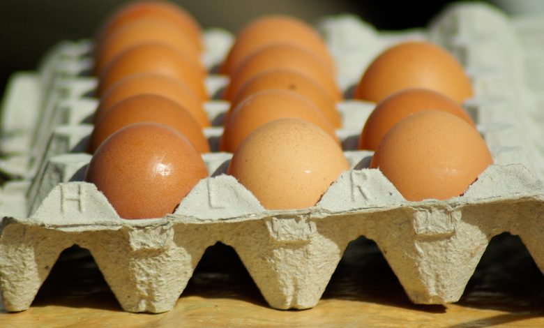 Photo of Hodowcy alarmują: Jajka będą drogie, bo nie ma niosek