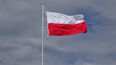 Photo of Premier ogłosił program “Pod biało-czerwoną”. Rząd sfinansuje gminom… maszty na flagi Polski