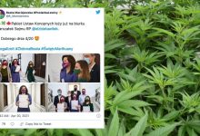 Photo of W święto 420 do Sejmu weszły ustawy o legalizacji marihuany. Dekryminalizacja coraz bliżej?