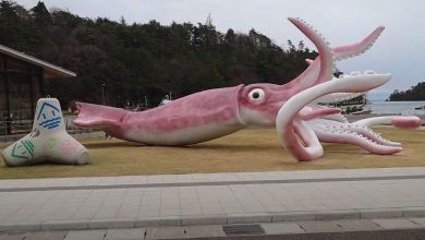 Photo of Japońskie miasto wydało fundusze COVIDowe na… posąg kałamarnicy