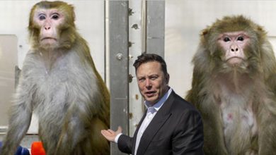 Photo of Elon Musk i Neuralink oskarżeni o makabryczne eksperymenty na małpach