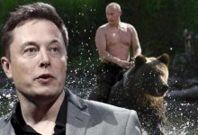 Photo of Elon Musk wyzwał Władimira Putina na solo. Stawka? Cała Ukraina