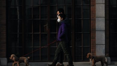 Photo of Władze Szanghaju nie wprowadzą lockdownu, by nie niszczyć gospodarki
