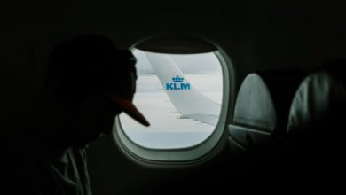 Photo of Ekolodzy pozywają holenderską linię lotniczą KLM za “greenwashing”