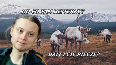 Photo of Greta Thunberg chce chronić renifery. Przekazała 2 miliony koron Lapończykom