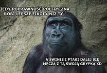 Photo of WHO zakazało nazwy “małpia ospa”, bo jest… rasistowska