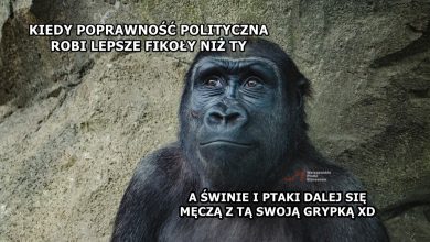 Photo of WHO zakazało nazwy “małpia ospa”, bo jest… rasistowska
